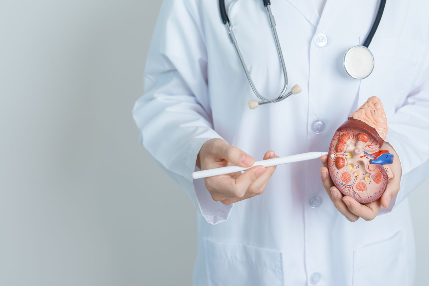 Certificazione Urologica per Assicurazione: Tutto sulla Visita presso Jesolo Medical Care