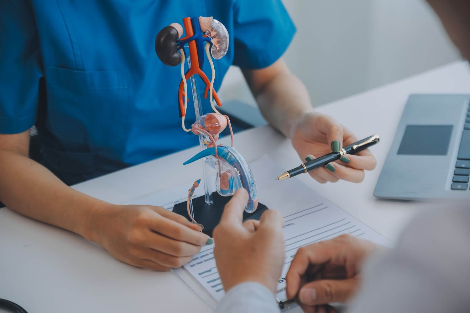 Guida Completa alla Visita Urologica: Sintomi, Diagnosi e Cosa Aspettarsi